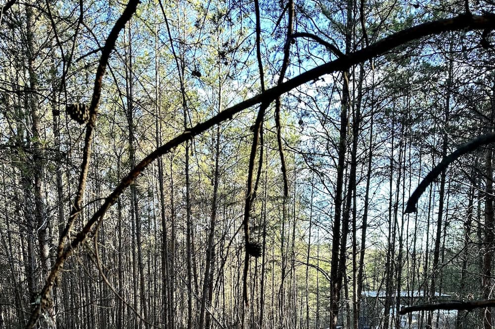 Photo of Outdoor in Lenoir