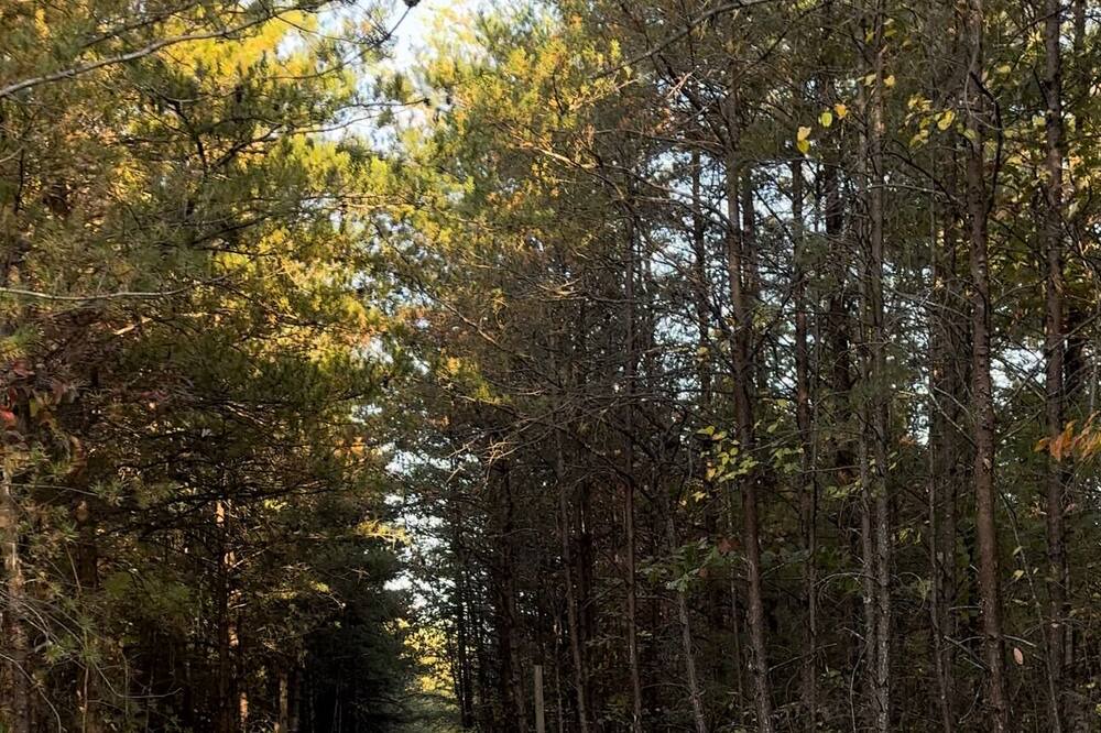 Photo of Outdoor in Lenoir
