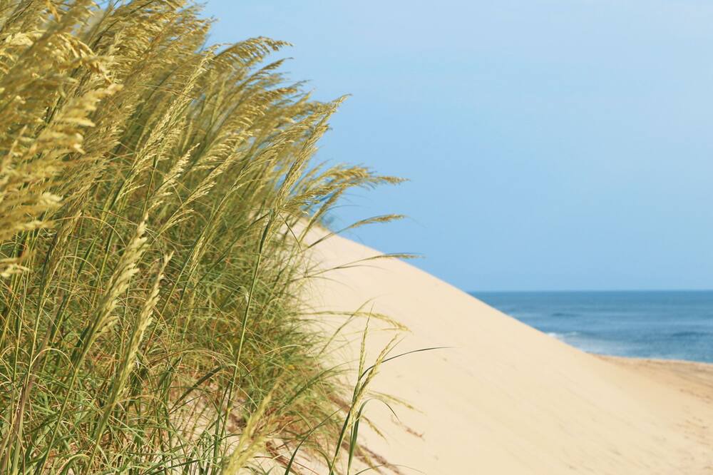 Photo of Others in Hatteras