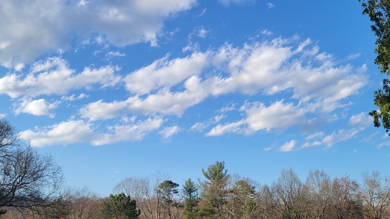 Photo of Outdoor in Candler