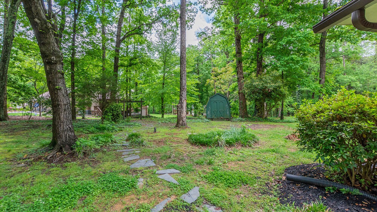 Photo of Outdoor in Trinity