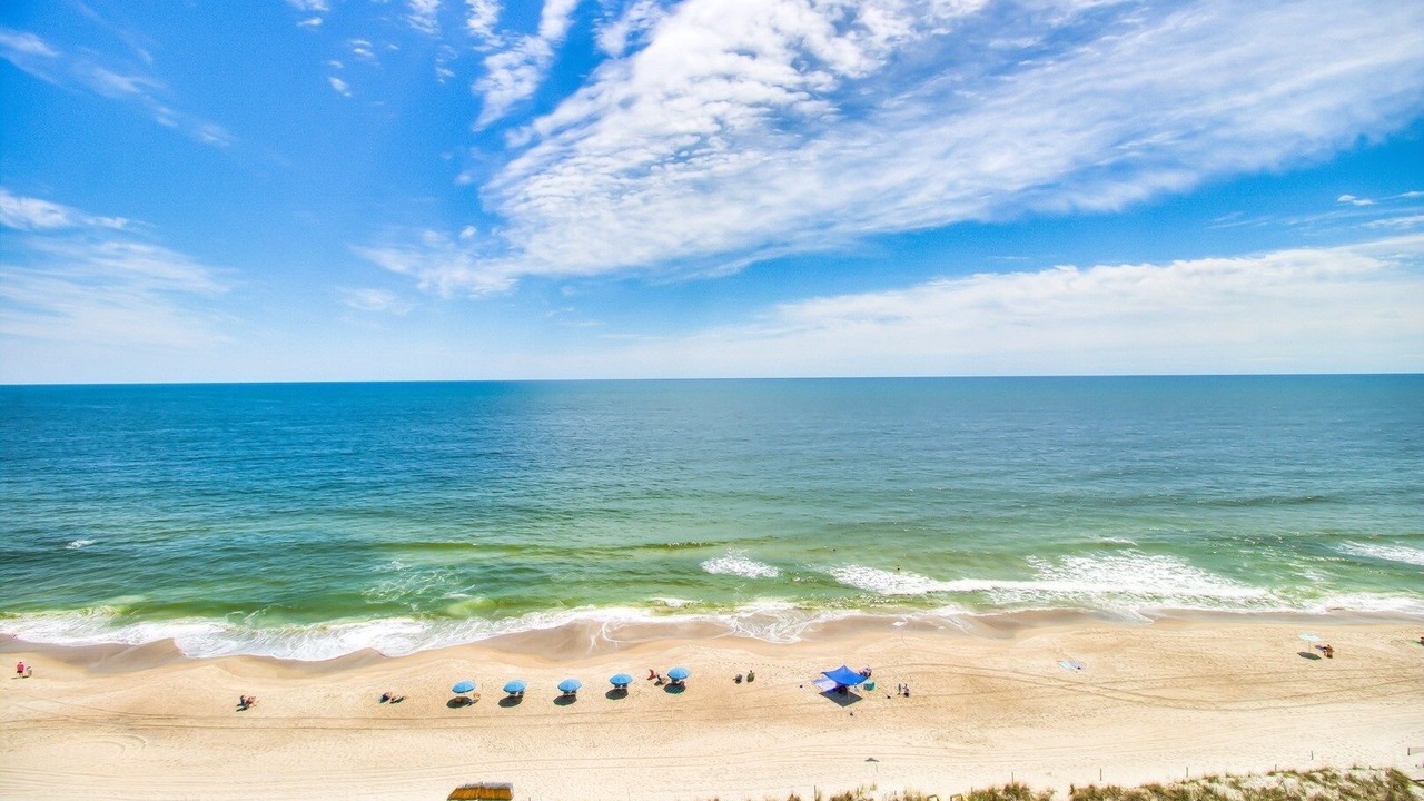 Photo of Others in Wilmington Beach