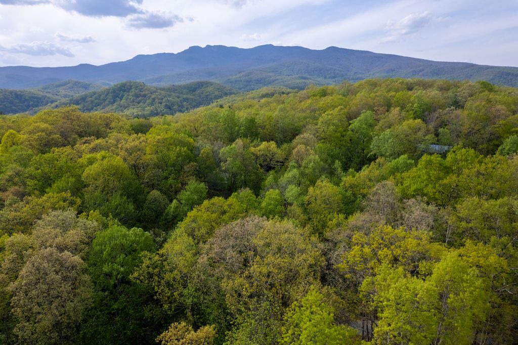Photo of Outdoor in Frank