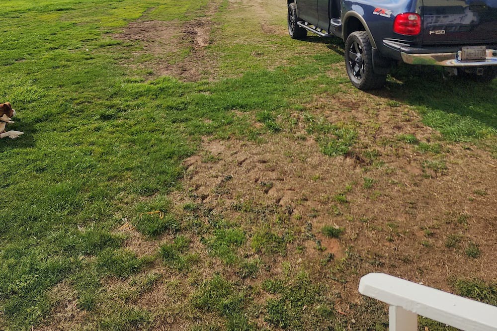 Photo of Outdoor in Traphill