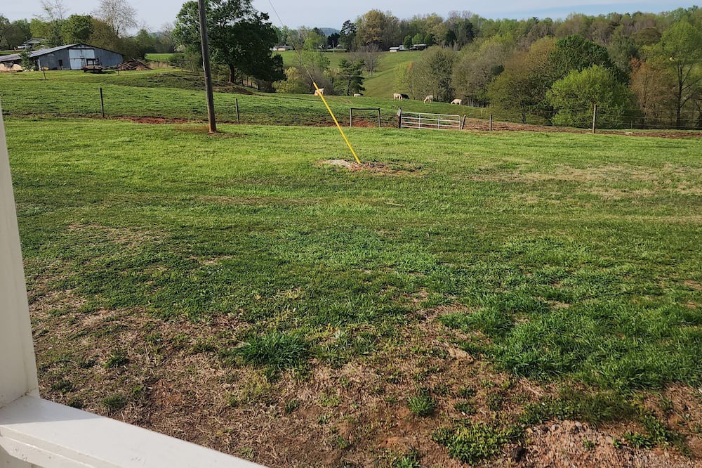 Photo of Outdoor in Traphill