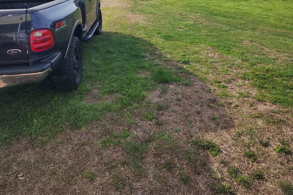 Photo of Outdoor in Traphill