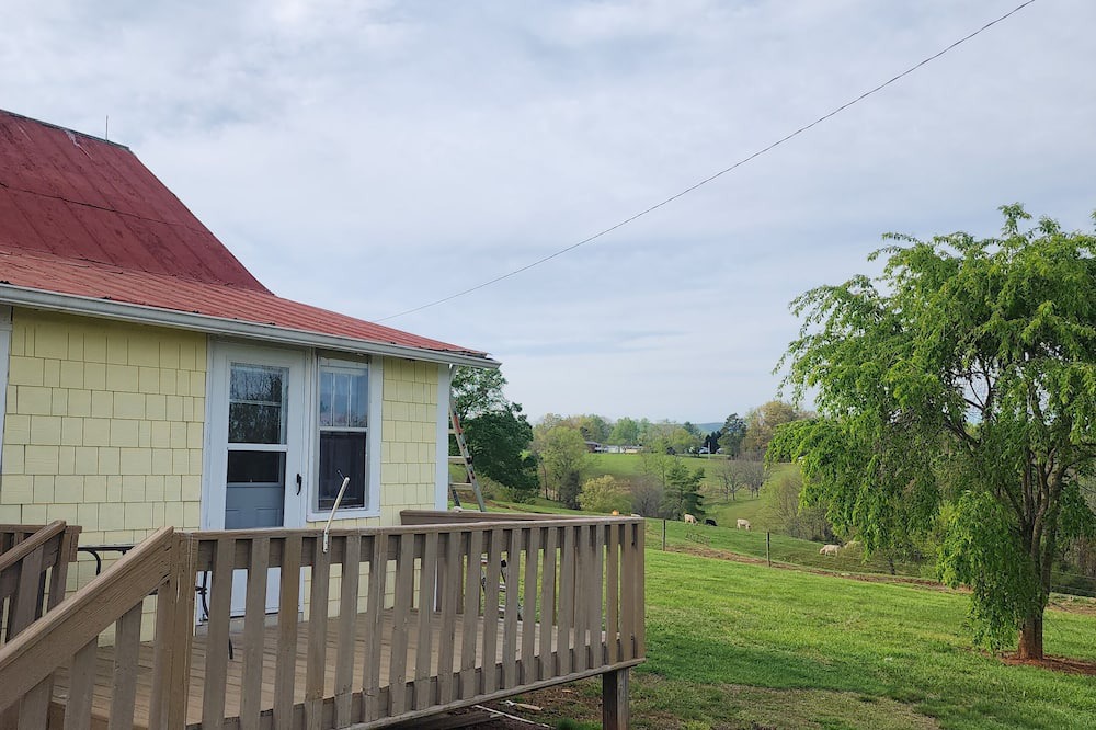 Photo of Outdoor in Traphill