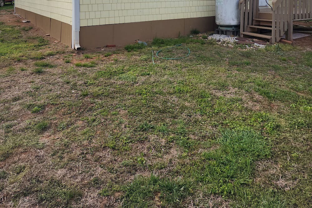 Photo of Outdoor in Traphill
