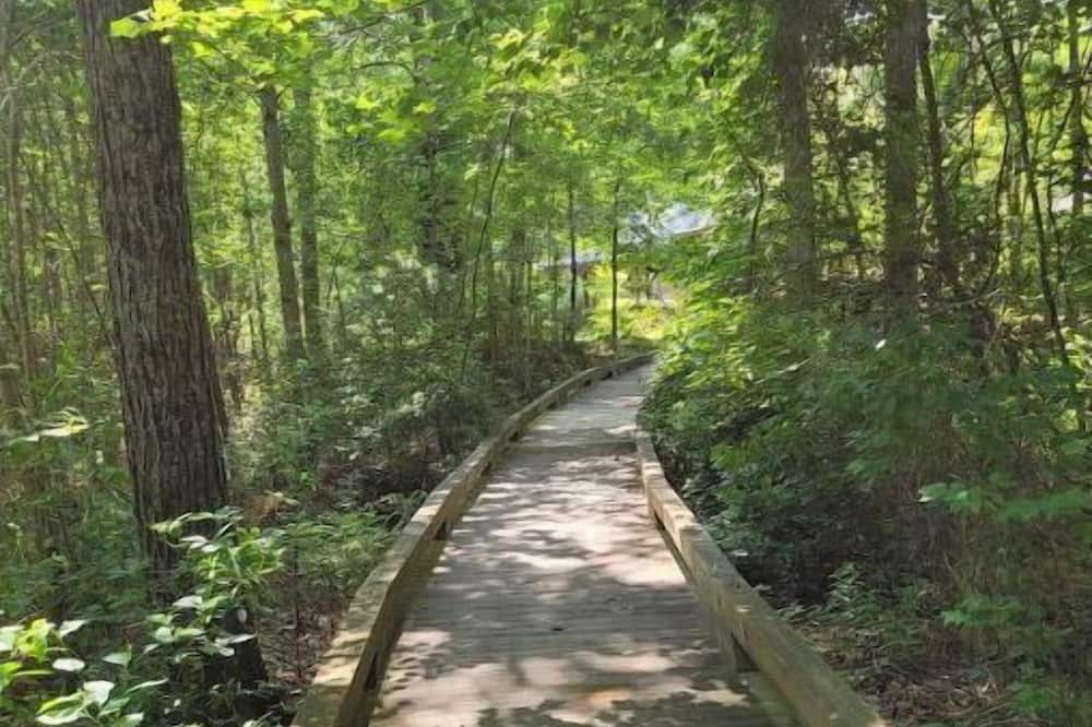 Photo of Outdoor in Spring Lake