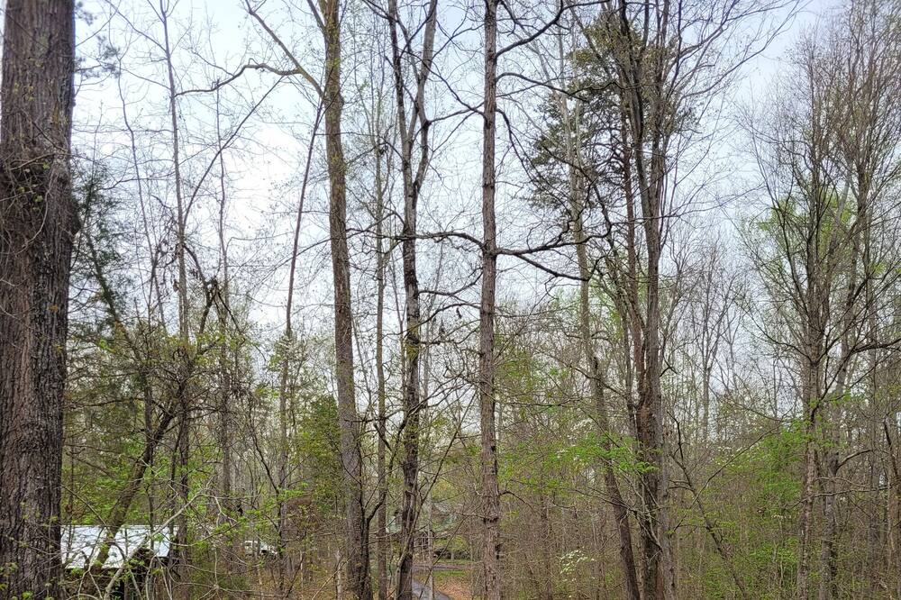 Photo of Outdoor in Salisbury