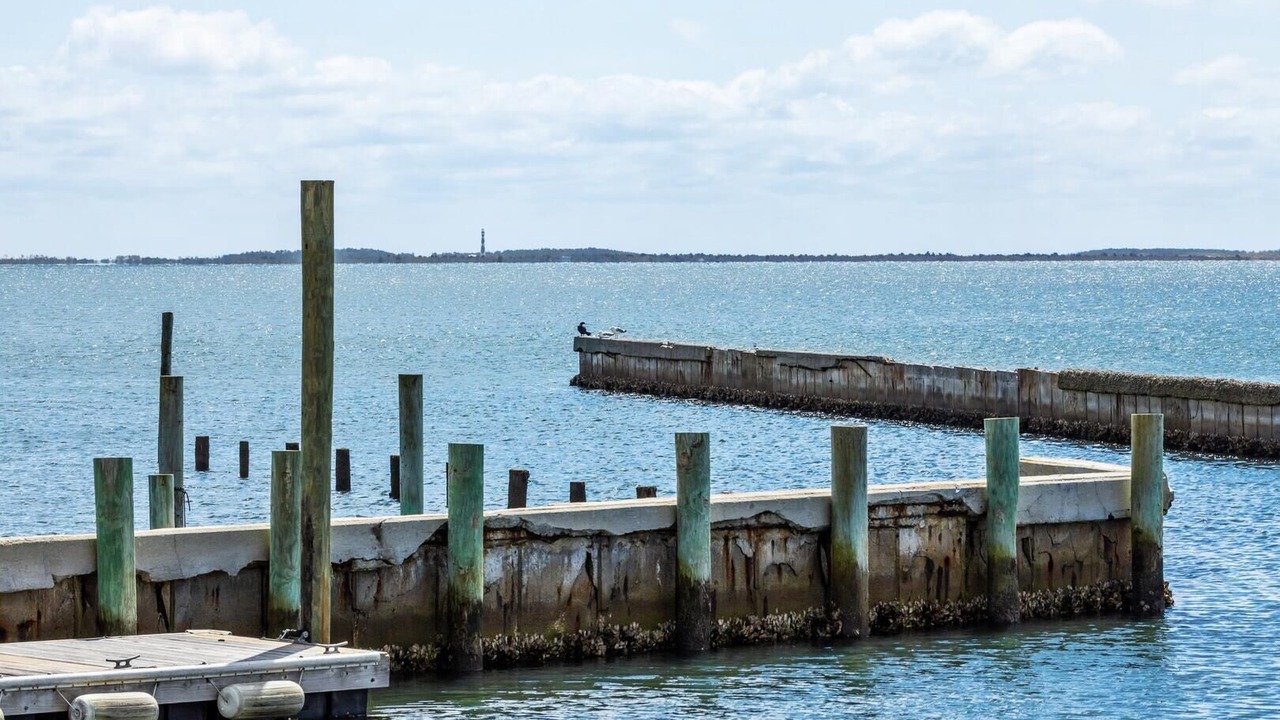 Photo of Others in Harkers Island