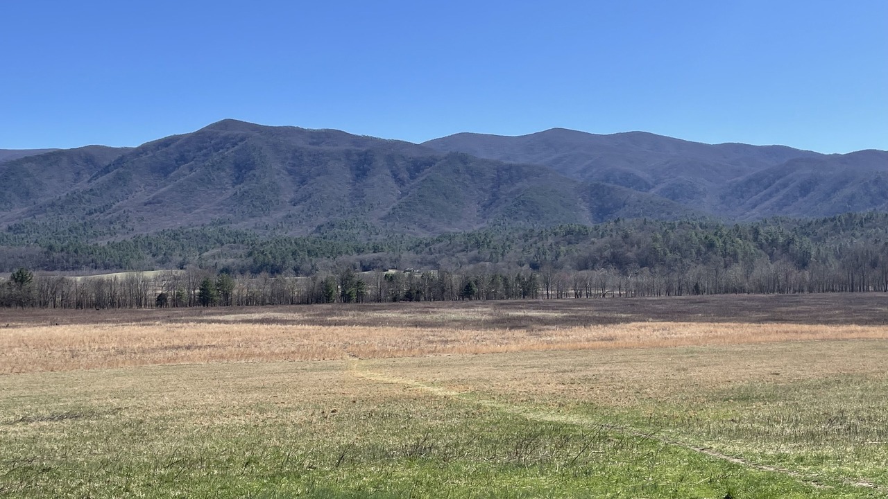 Photo of Others in Sylva