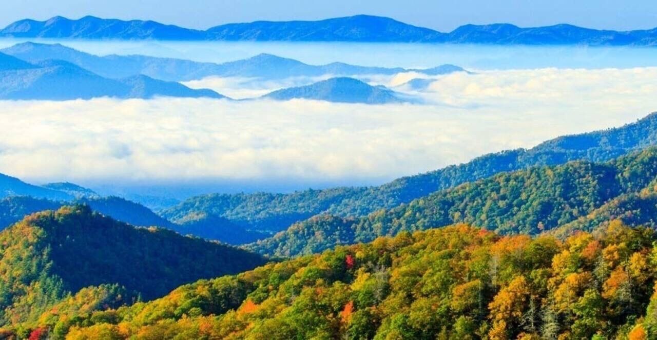 Photo of Others in Sylva