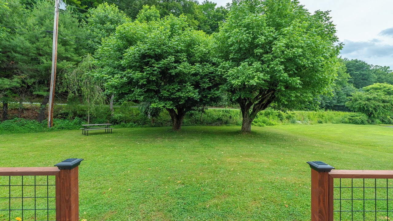 Photo of Outdoor in Mars Hill