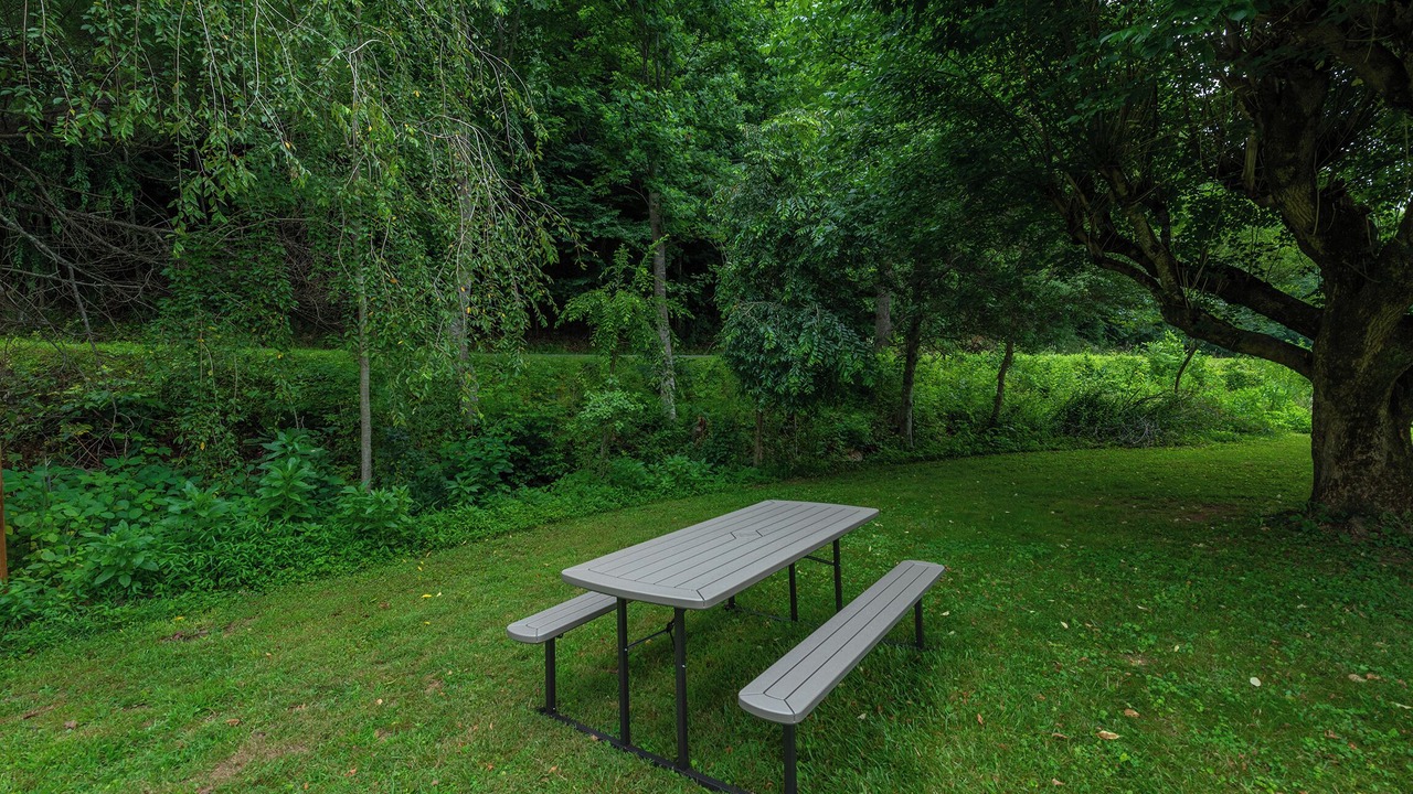 Photo of Outdoor in Mars Hill