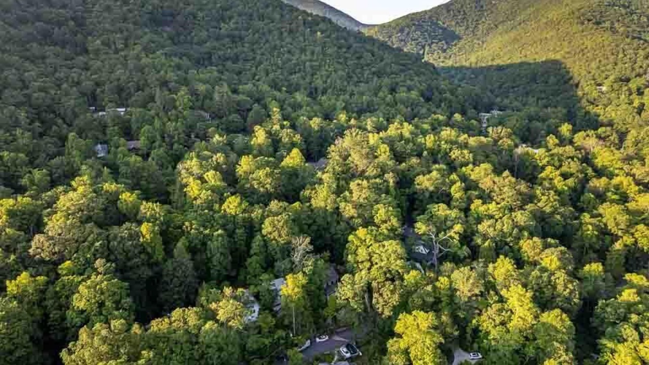 Photo of Outdoor in Montreat