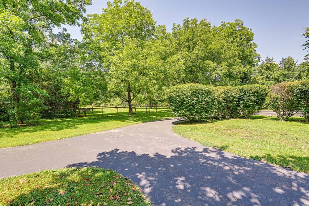 Photo of Outdoor in Whites Creek