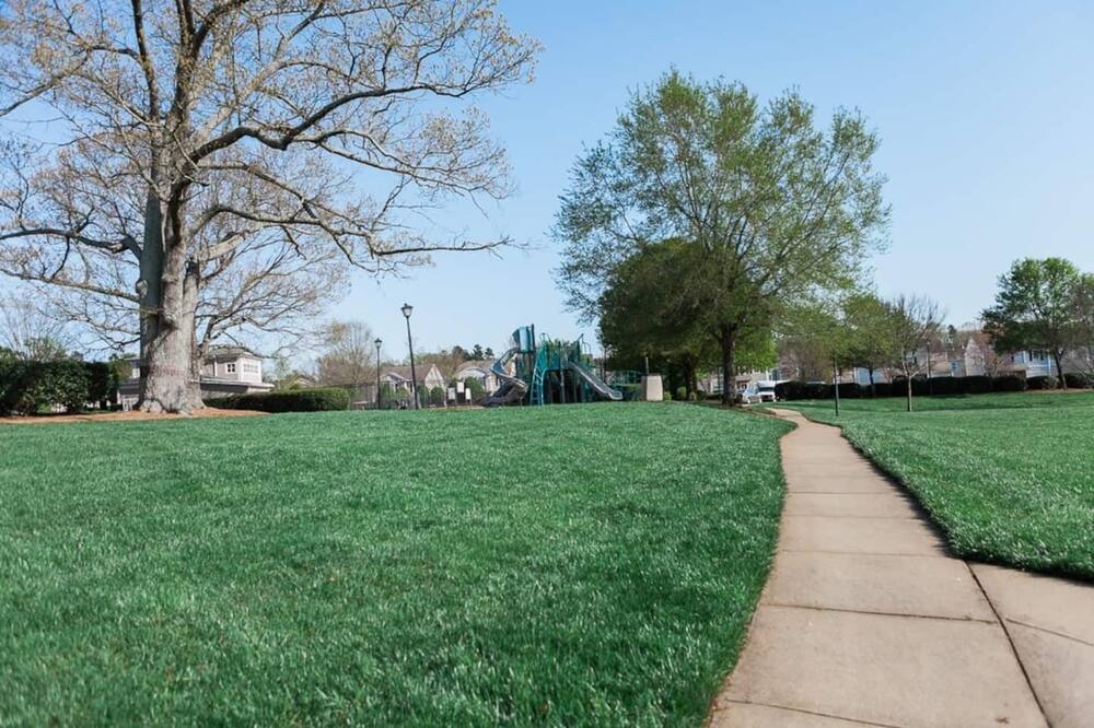 Photo of Outdoor in Paw Creek