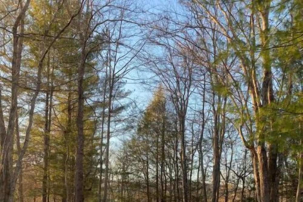 Photo of Outdoor in Warne