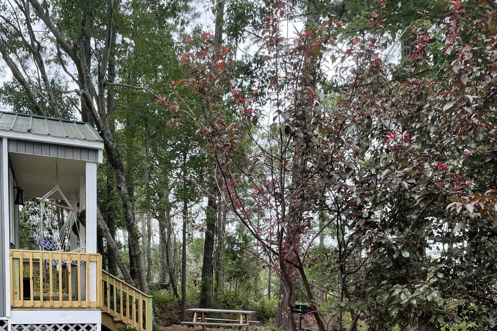 Photo of Outdoor in Myrtle Grove