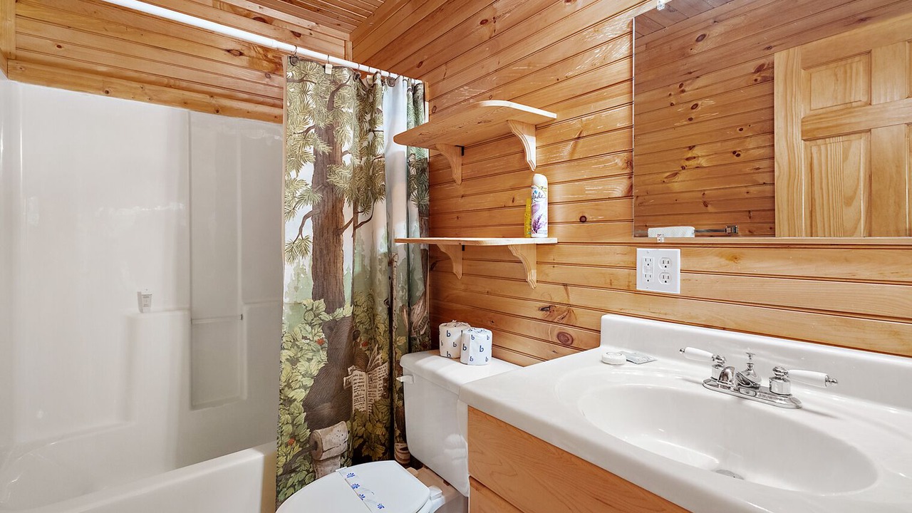 Photo of Bathroom in Purlear