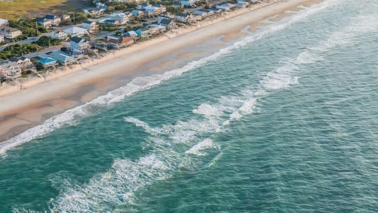 Photo of Others in Surf City