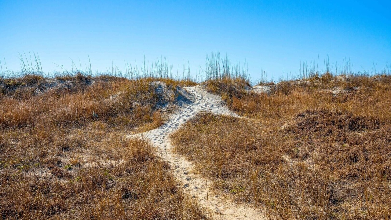Photo of Others in Atlantic Beach
