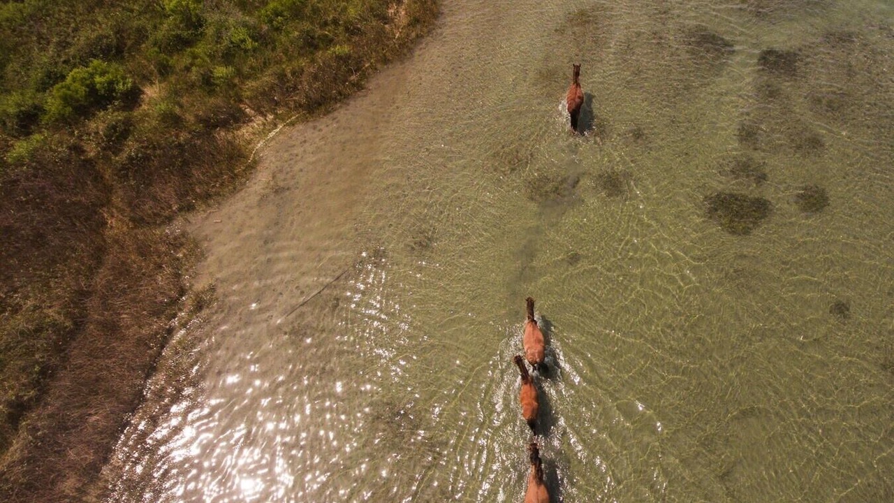 Photo of Others in Harkers Island