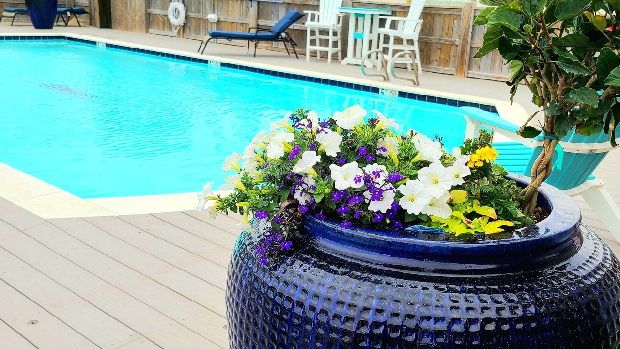 Photo of Outdoor in Nags Head