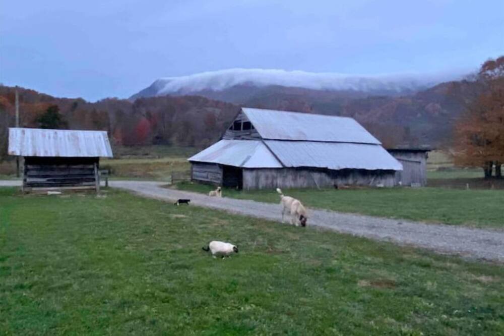 Photo of Outdoor in Creston