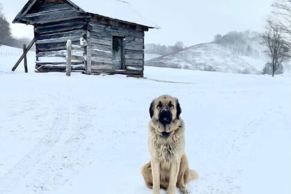 Photo of Others in Creston