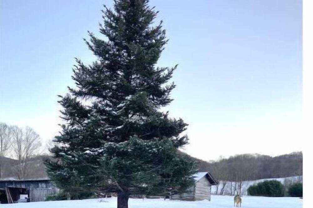 Photo of Outdoor in Creston