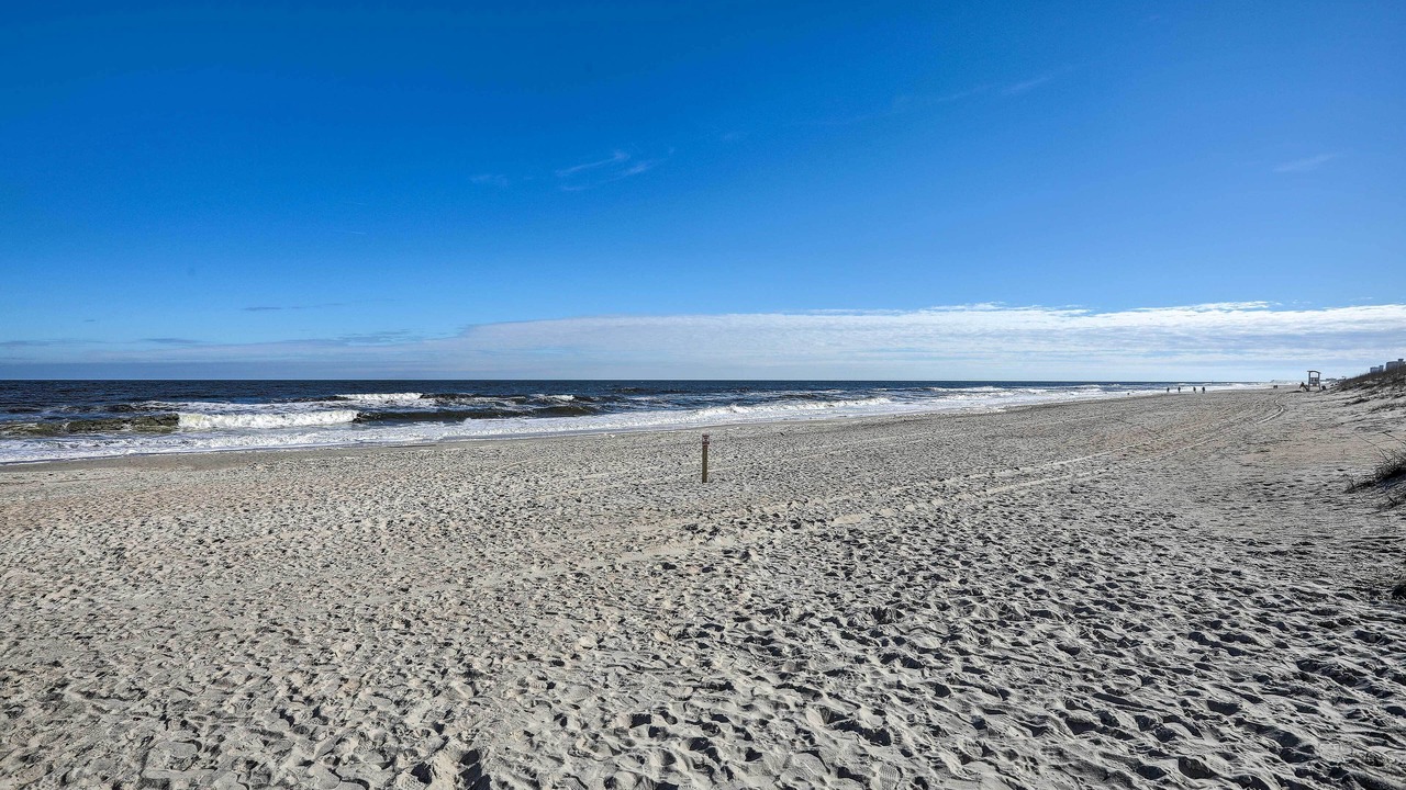 Photo of Others in Carolina Beach