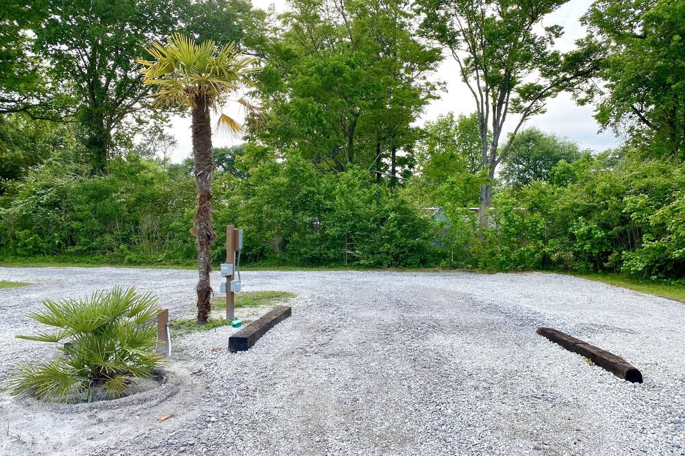 Photo of Outdoor in Morehead City