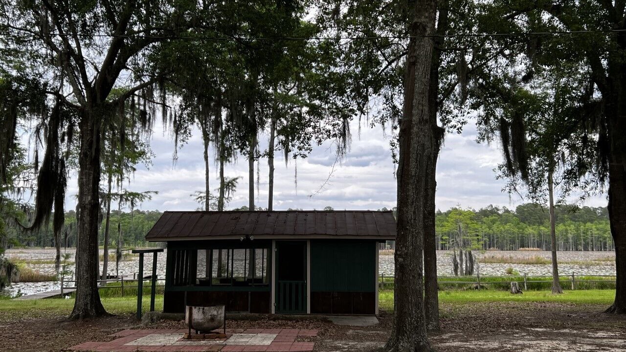 Photo of Outdoor in Sylvania