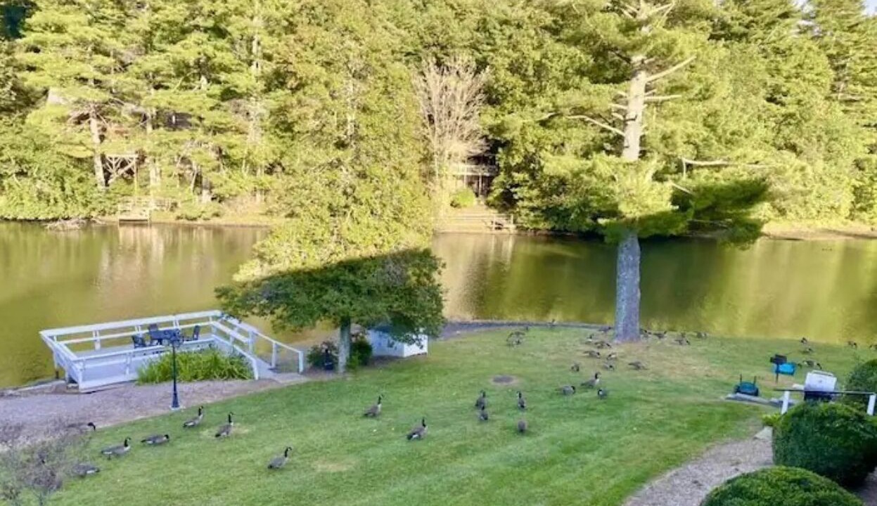 Photo of Outdoor in Flat Rock