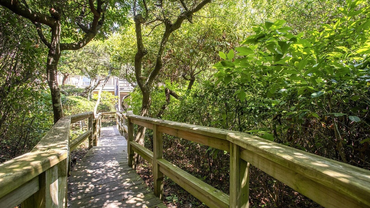 Photo of Others in Pine Knoll Shores