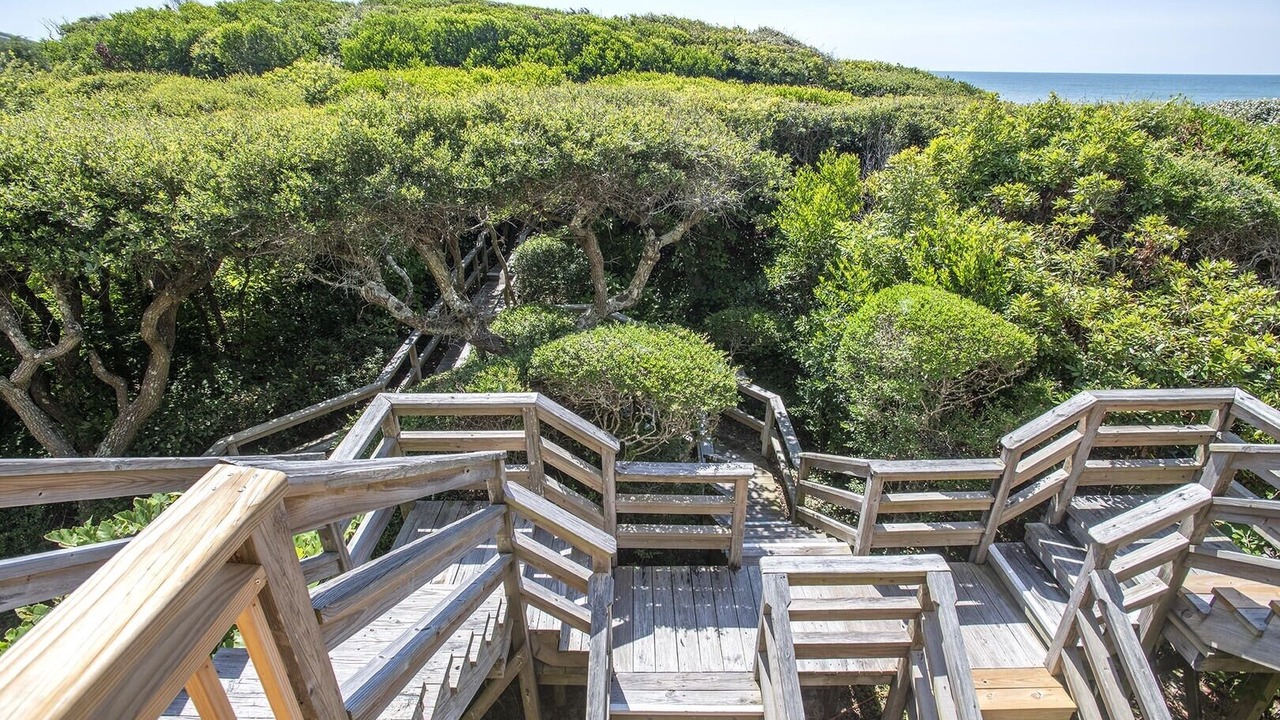 Photo of Others in Pine Knoll Shores