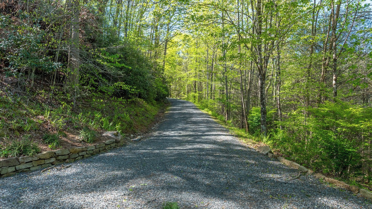 Photo of Outdoor in Spruce Pine