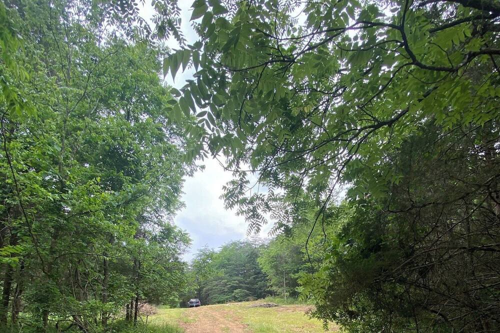 Photo of Outdoor in Horse Cave