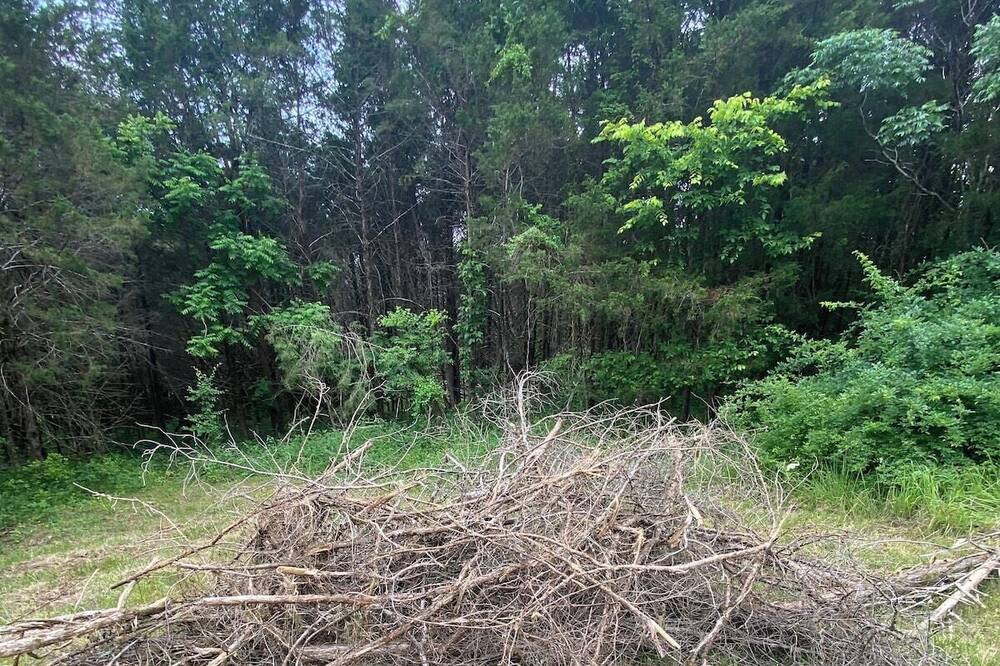 Photo of Outdoor in Horse Cave