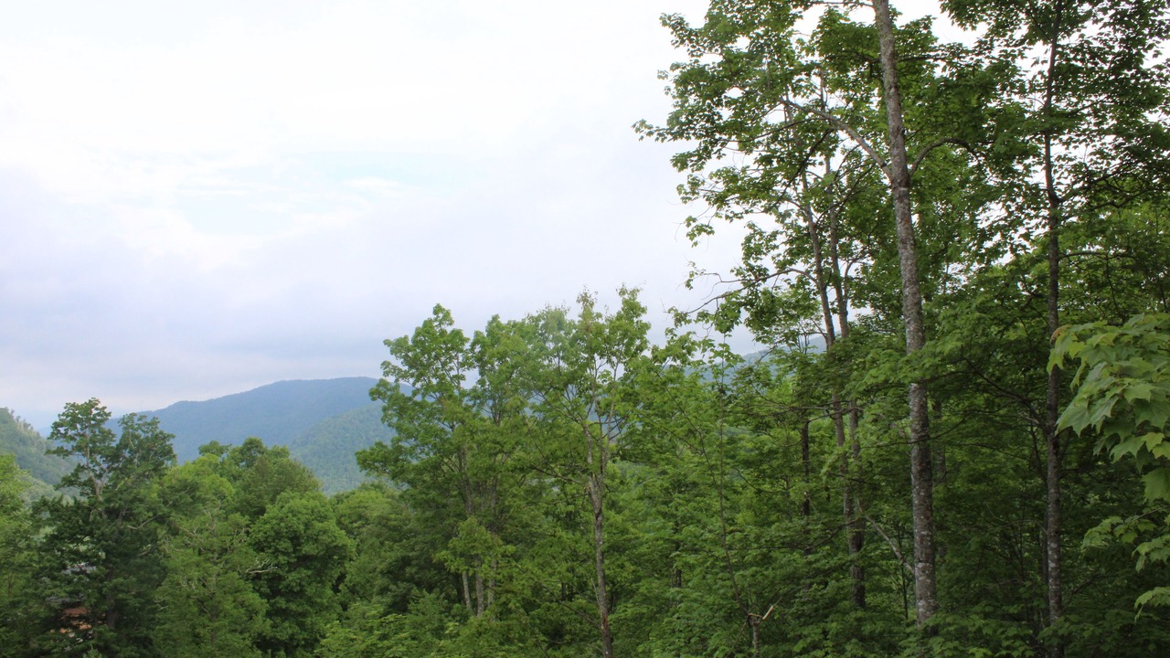 Photo of Others in Maggie Valley