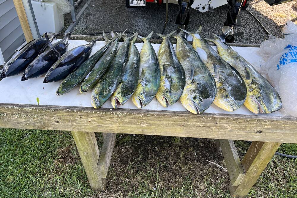 Photo of Others in Sealevel