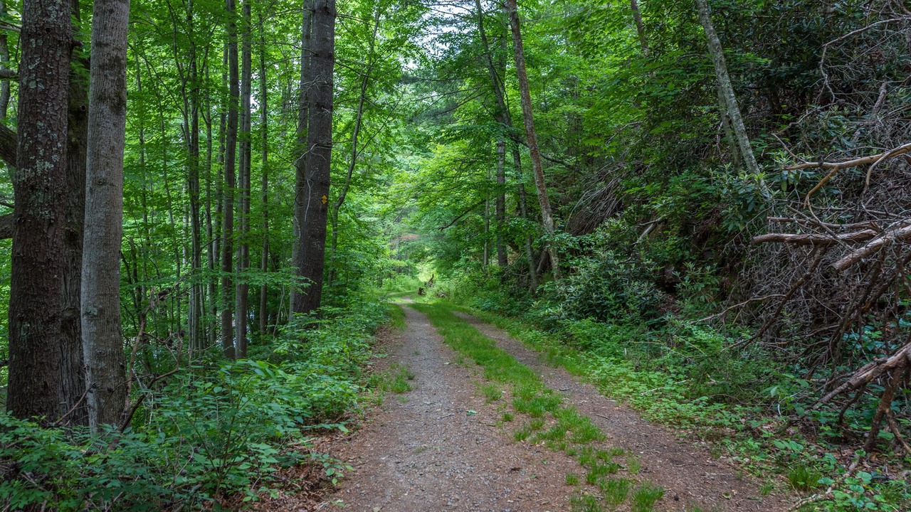 Photo of Outdoor in Canton