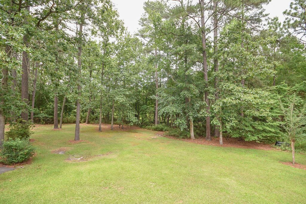 Photo of Outdoor in Olivia