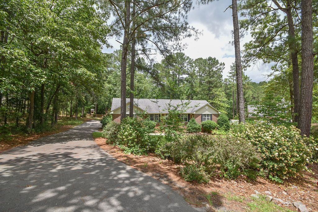 Photo of Outdoor in Olivia