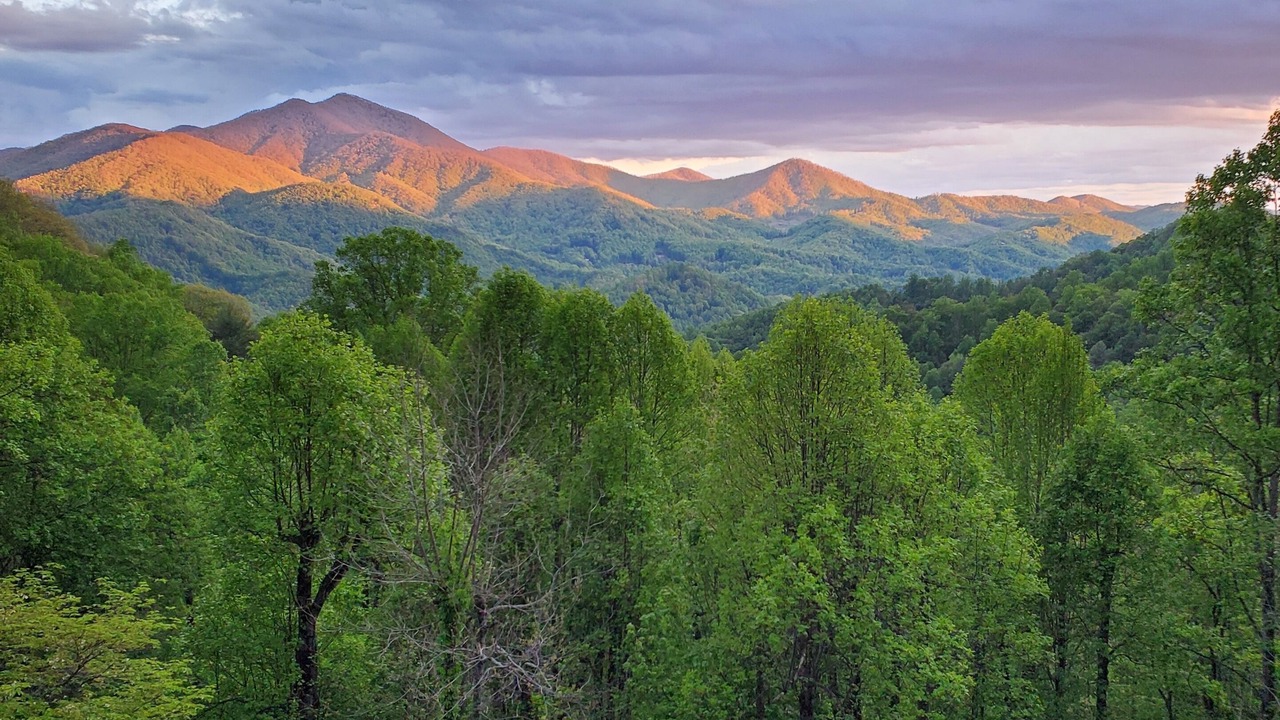 Photo of Outdoor in Sylva