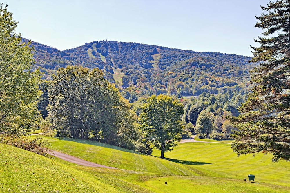 Photo of Others in Sugar Mountain