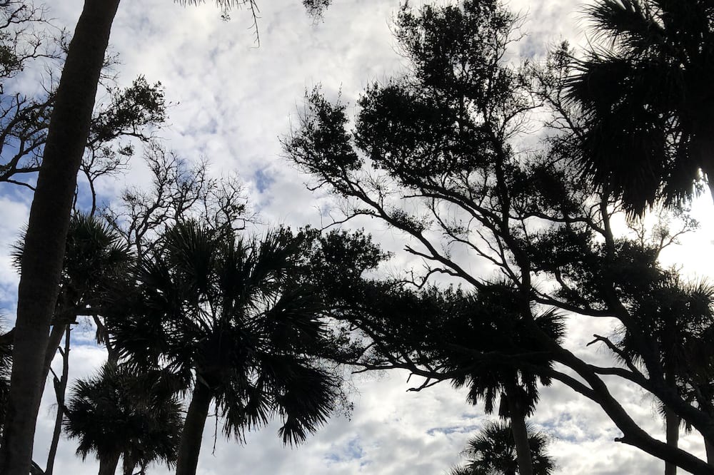 Photo of Outdoor in Oceanmarsh Subdivision