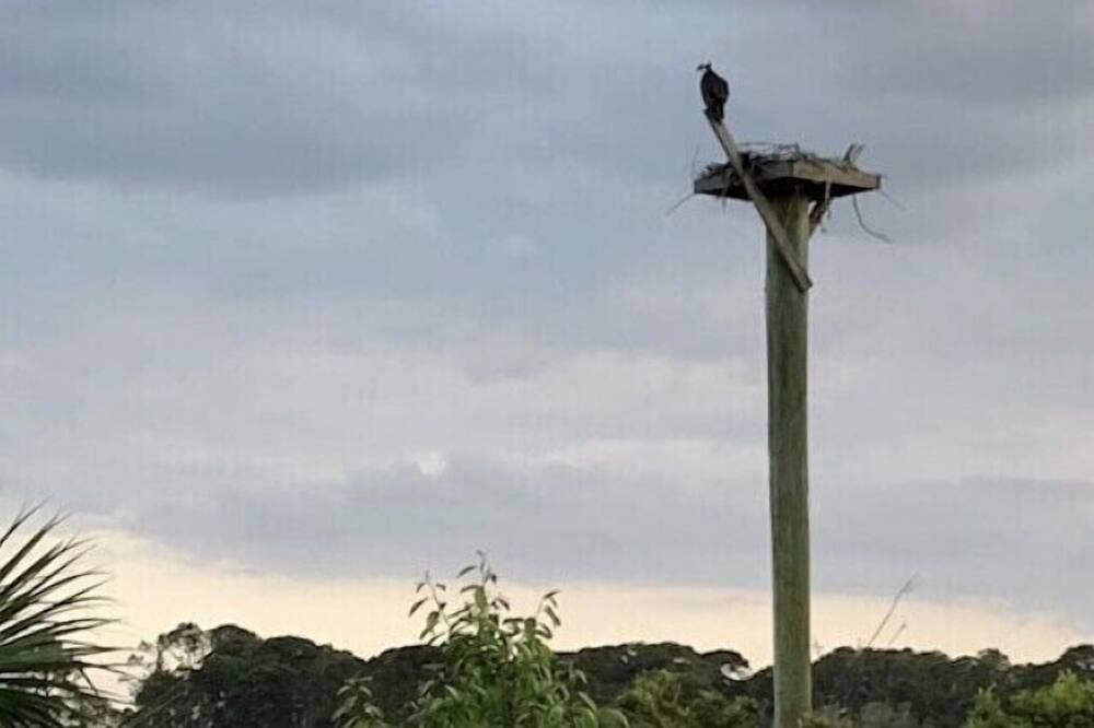 Photo of Others in Oceanmarsh Subdivision